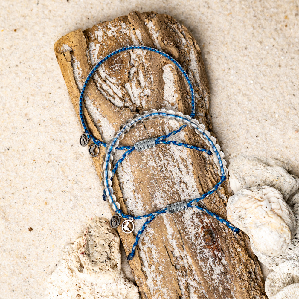 2024 Seal Bracelet | Limited Edition | 4ocean Bracelet of the Month