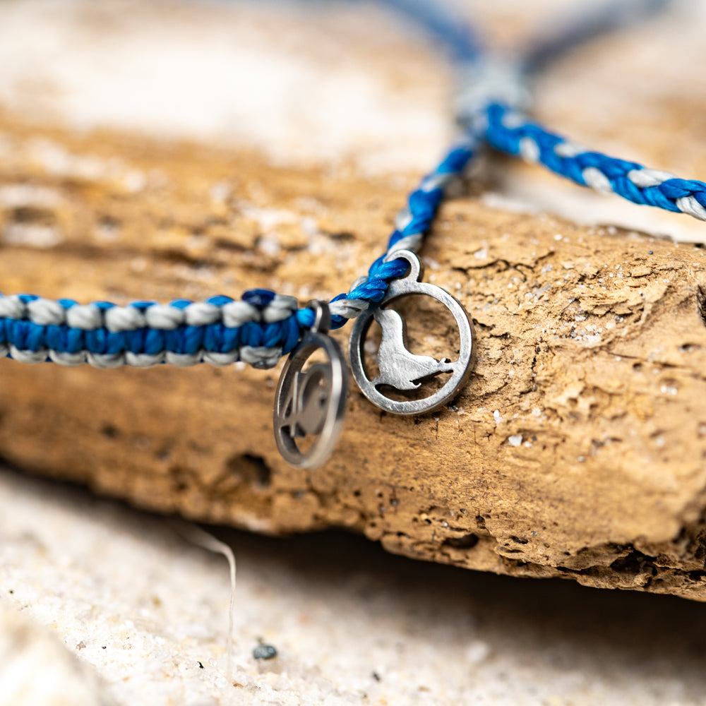 2024 Seal Bracelet | Limited Edition | 4ocean Bracelet of the Month