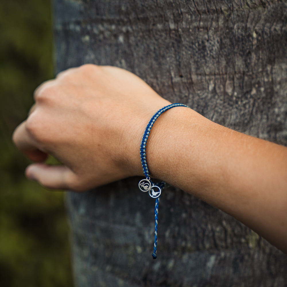2024 Seal Bracelet | Limited Edition | 4ocean Bracelet of the Month