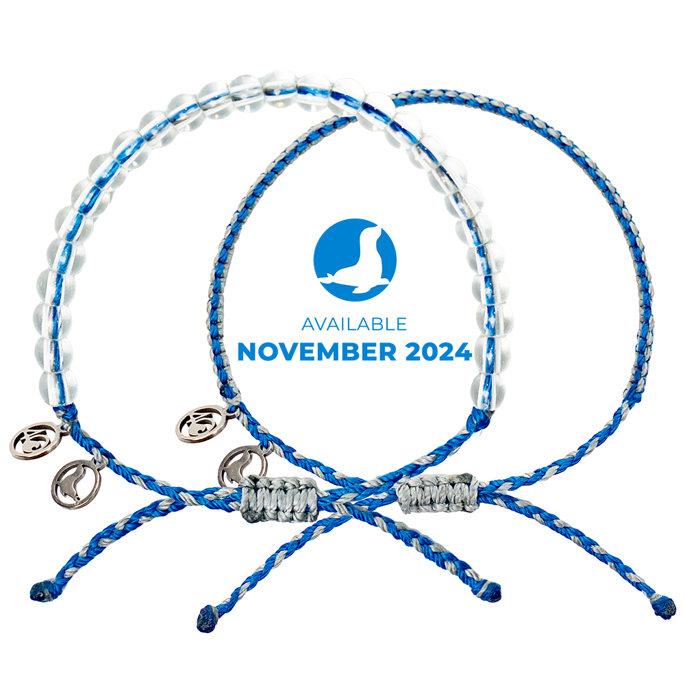 2024 Seal Bracelet | Limited Edition | 4ocean Bracelet of the Month