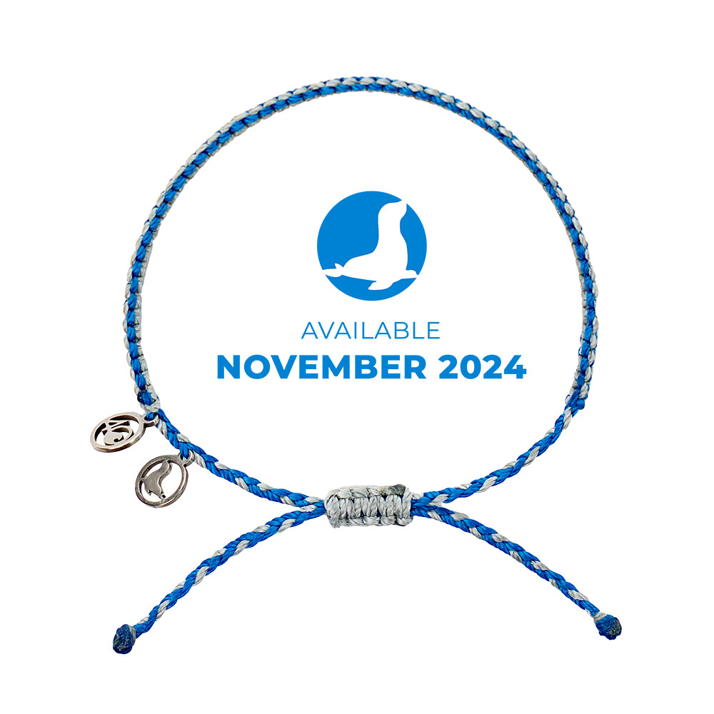 2024 Seal Bracelet | Limited Edition | 4ocean Bracelet of the Month